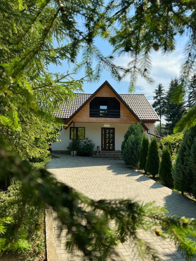 Pensiunea Ionela Zemes Exterior photo
